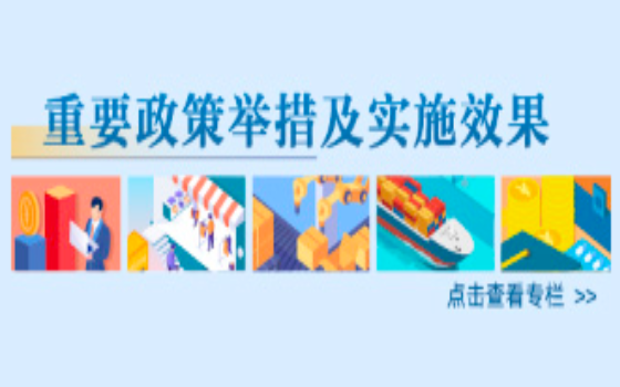 重要政策舉措及實施效果